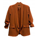 Blazer classic, Camel